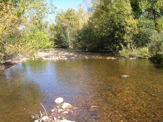 Click for larger image