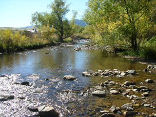 Click for larger image