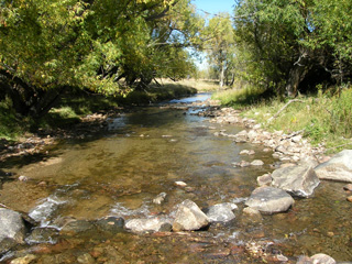 Click for larger image