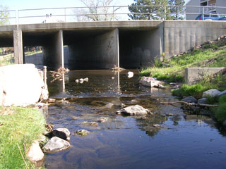 Click for larger image