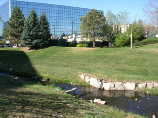 Click for larger image