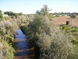 Click for larger image