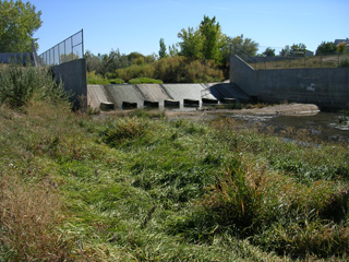 Click for larger image