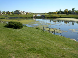 Click for larger image