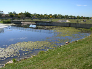 Click for larger image