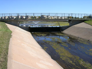 Click for larger image