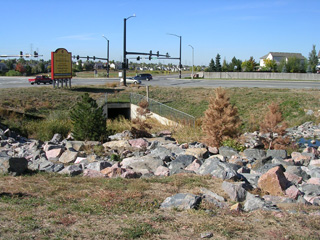 Click for larger image