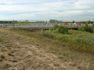 Click for larger image