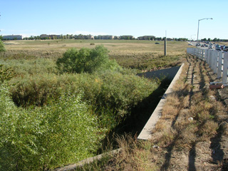 Click for larger image