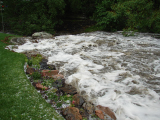 Click for larger image