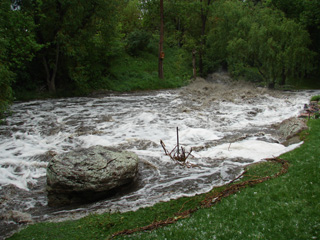 Click for larger image