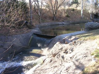 Click for larger image